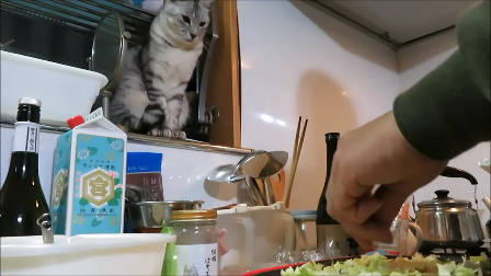 主人在做章鱼烧,家里的猫咪在一旁看的直流口水